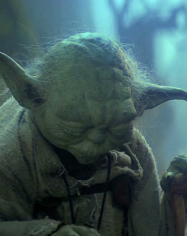 Yoda, calm in the Dagobah swamp
